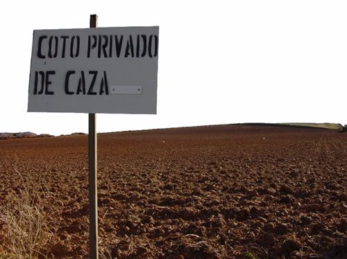 Caza-Servicio a Colegiados-Colegio Oficial de Veterinarios de Albacete